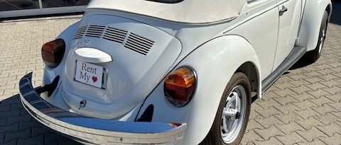 IMG_8349